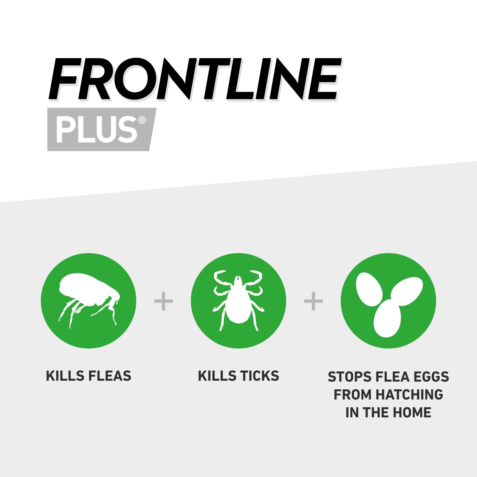Frontline Plus® Spot-On Flea & Tick Treatment for Cats & Ferrets | 6 Pipettes