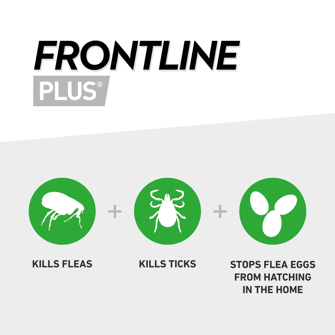 Frontline Plus® Spot-On Flea & Tick Treatment for Cats & Ferrets | 6 Pipettes