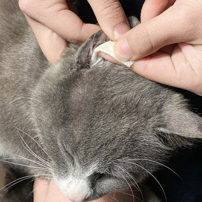 Cats and dogs remove earwax and ear oil pet wipes