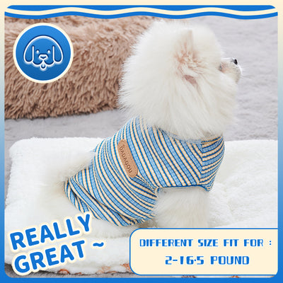 New Arrival Cooling Vest for Dogs – Keep Your Pet Comfortable & Stylish in Hot Weather