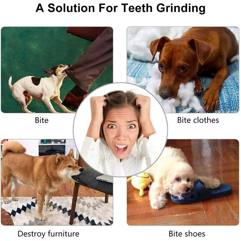 Interactive Treat Dispensing Dog Toy Ball – Chew & Teeth Cleaning Toy