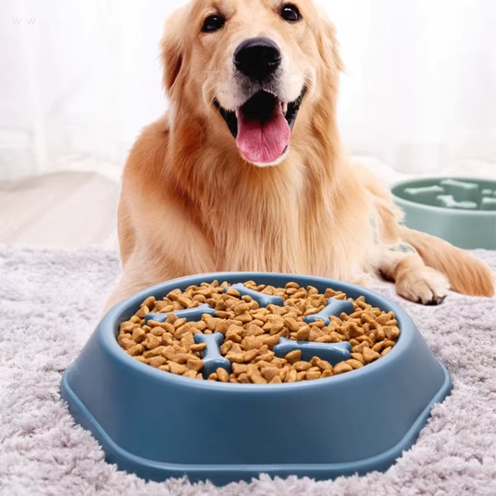 Anti-Bloat Slow Feeder Dog Bowl – Healthy Eating, Better Digestion