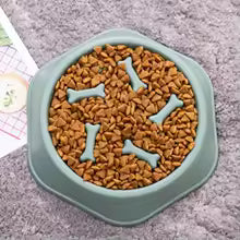 Anti-Bloat Slow Feeder Dog Bowl – Healthy Eating, Better Digestion
