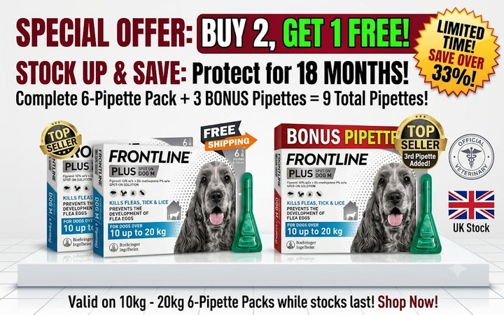 Frontline Plus® Flea & Tick Treatment – Medium Dogs (10-20kg) | 6 Pipettes