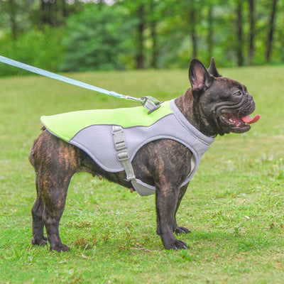 Summer Pet Dog Cooling Vest Heat Resistant.