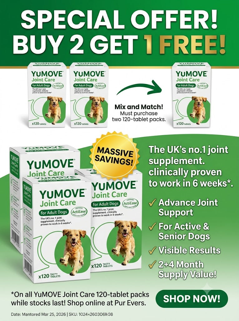Dog Joint Mobility Supplement – 120 Tablets | Hip & Joint Support for Senior & Active Dogs